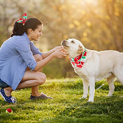 Summer Dog Bandanas Girl Matching Dog Bandana and Scrunchie Small (watermelon / Small-set of 1)