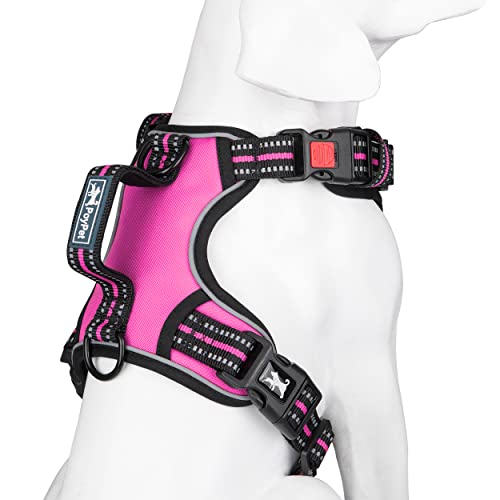No Pull Dog Harness with 3 Leash Clips and Vertical Handle (Medium / Pink)