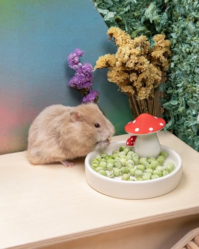 Hamster Snack & Treats Toy