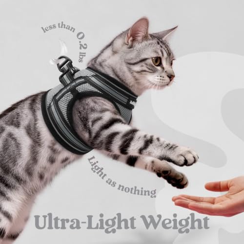 Cat Harness and Leash Set (M / Grey)