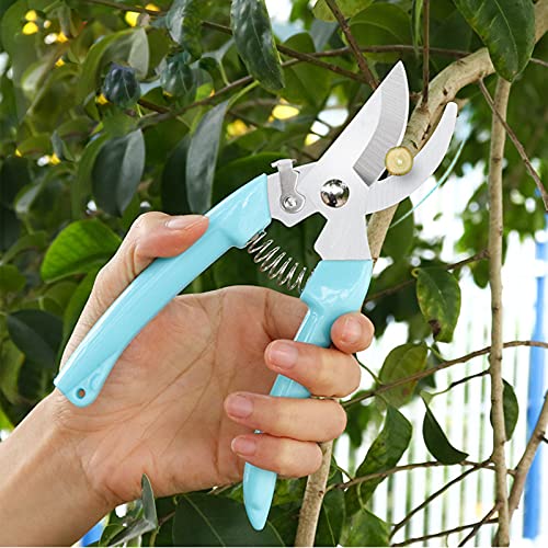 Premium 2PCS Pruners (Blue)