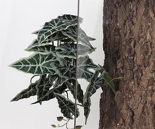 Snake Enclosure Plants (Fake Alocasia Black Velvet)