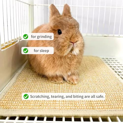 2PCS Rabbit Scratch Mat Natural Bunny Scratching Pad Claws and Teeth Care Rabbit Mats for Cages Chew Toys for Bunny Pet Cage Bedding for Biting Sleeping Nesting (24"x16")