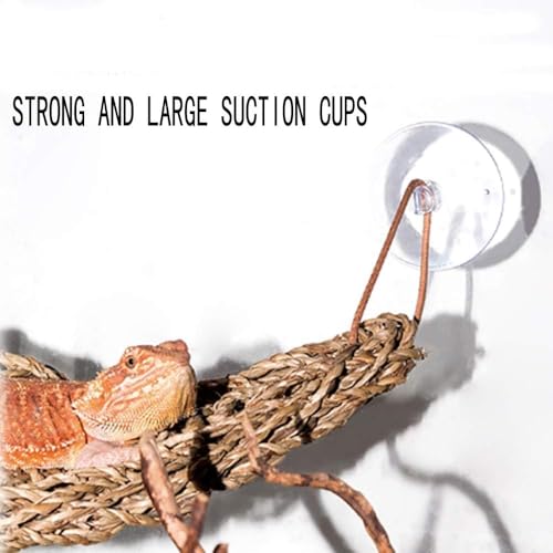 Bearded Dragon Hammock