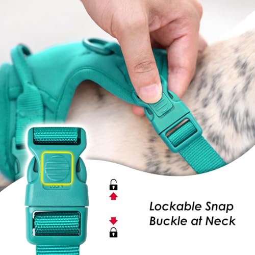 No Pull Dog Harness for Medium Sized Dogs Puppy Vest No Choke (MARRS Green / M(Neck:18.5-25.6", Chest:20.9-30.7"))