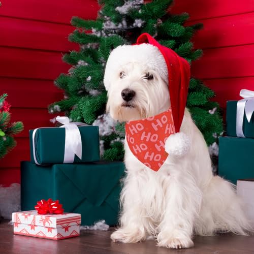 Christmas Dog Bandana (Small / Red and green)