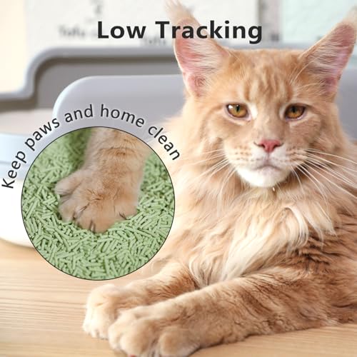 Low Dust Odor Control Flushable Tofu Cat Litter 24LB (6lb x 4bags / Green Tea)