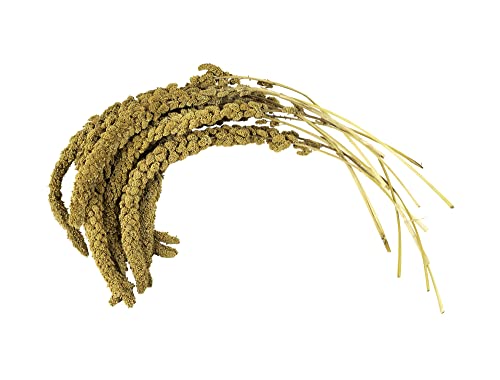 5lbs French Kissed Spray Millet for Birds (5lb)