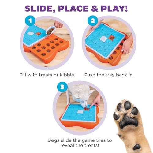 Nina Ottosson Challenge Slider Dog Toy Treat Puzzle