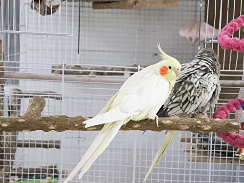 Large Natural Pepper Wood Parrot Stand Branch