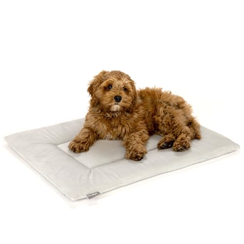 Dog Crate Pad (25.0"L x 19.0"W x 1"Th / Light Grey)