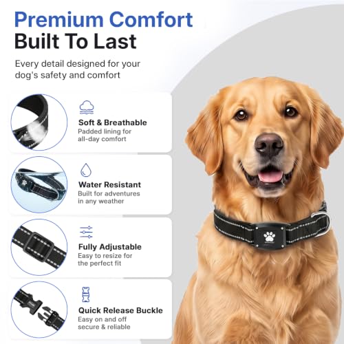 GPS Dog Collar with Tracker (Black / M(14.5''-19.5''))