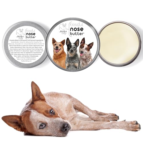 Australian Cattle Dog Unscented Nose Butter (Australian Cattle Dog / 4 Ounce)