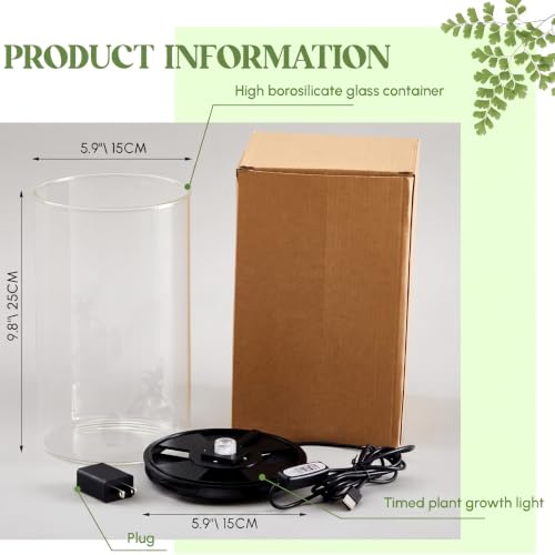 Glass Terrarium Kit with LED Grow Light for Desktop (9.8 x 5.9 Inch)