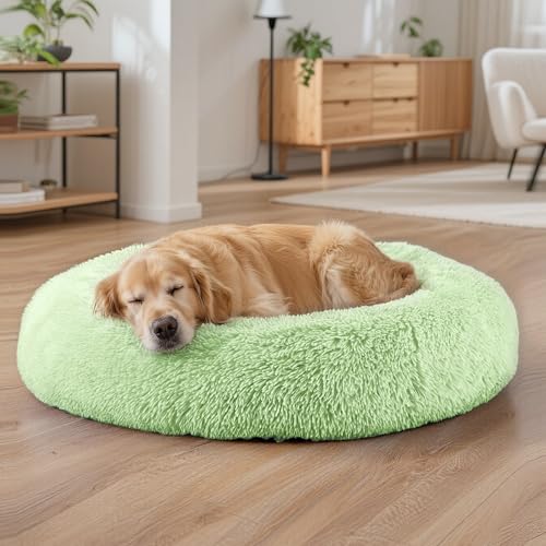 Dog Beds Large Sized Dog and Cats (Green / 32.0"L x 32.0"W x 8.0"Th)