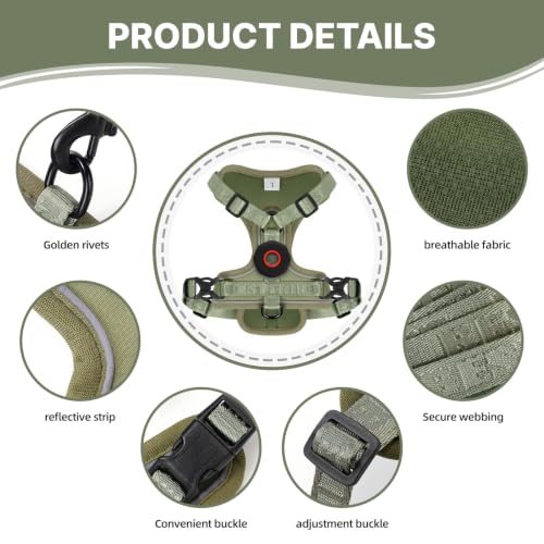 Cat Harness Leash Set with AirTag Holder (Green for Airtag / M)