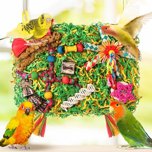 Bird Toys Parakeet Toys (Colorful with Starfruit (1PCS))