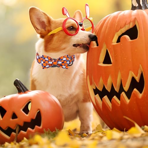 Halloween Day Dog Collar with Bow Bone Pumpkin Cotton Dog Collars for Small Medium Large Dogs (Extra Large / Bone pumpkin)