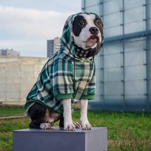 Dog Hoodie Buttery (Green Plaid / XX-Large)