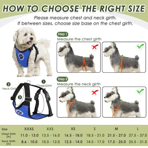 Dog Seat Belt and Harness for Car (Blue / XX-Small)