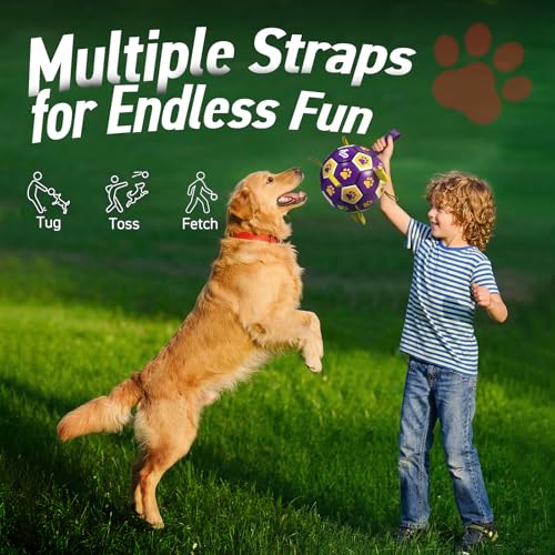 Extra Large Dog Toy Soccer Ball (Purple Yellow / 9 Inch)