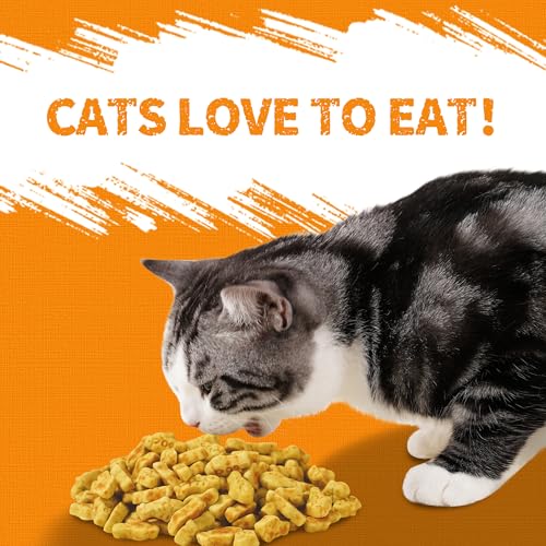 Pumpkin Cat Treats Salmon Flavor (13.4 Ounce (Pack of 1))