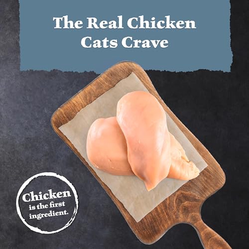 Wilderness Chicken Adult Dry Cat Food (15 Pound (Pack of 1))