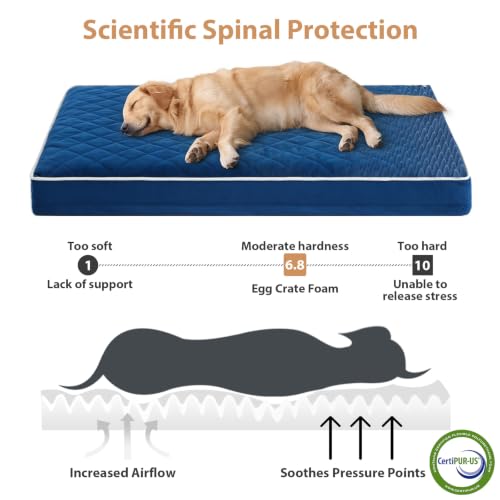 Orthopedic Waterproof Extra Large Senior Dogs Bed for Comfy Sleep (Blue / 42"L x 30"W x 4"Th)