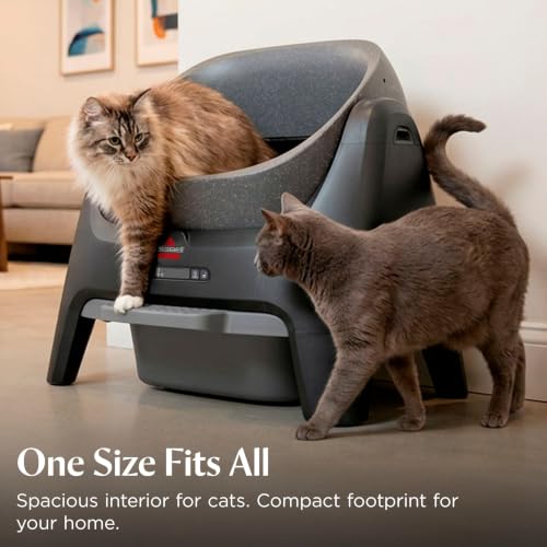 CleanWell Automated Cat Litter Box (CleanWell)