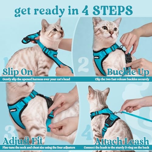 Cat Harness and Leash Set (Xxs / Teal)