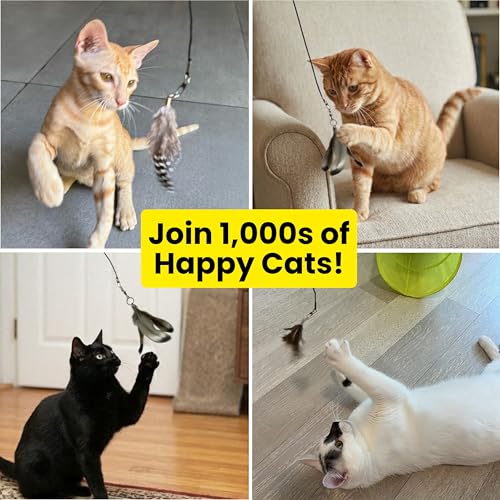 Forever Stick Refill 3 (Feather Toys Refill 3-Pack)