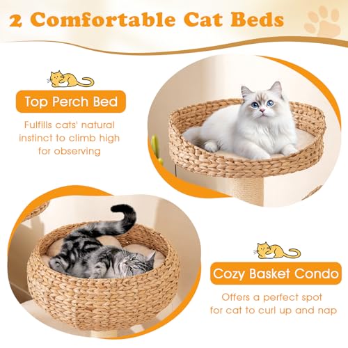 41 Inch Modern Cat Tree for Indoor Cats (41 inches / Beige)