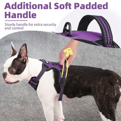 No Pull Dog Harness for Large (Purple / X-Large)
