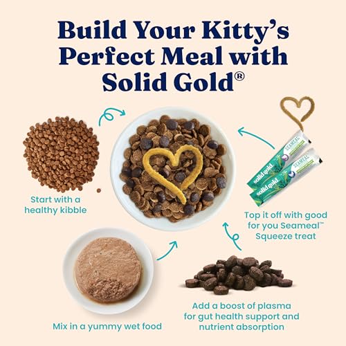 Indoor Wet Kitten Food (24 Pack)