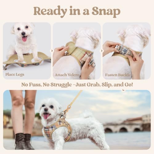 Dog Harness Small Sized and Leash Set (Beige Plaid / S (chest: 15.1 - 16.5"))