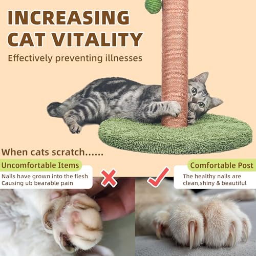 Cat Scratching Post 33 Inch Tall Cat Scratcher for Indoor Cats Adults (33 in Green Post)
