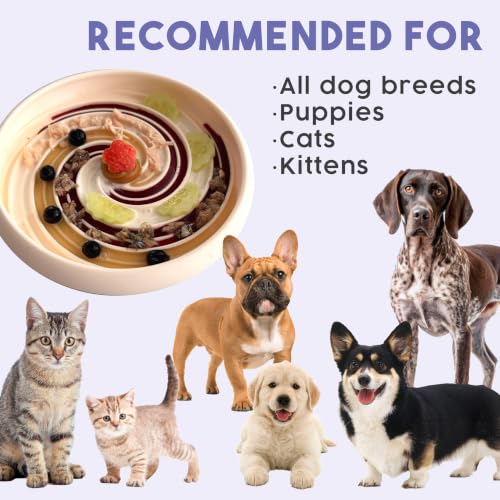 Large Lick Dish (Sage / Large)