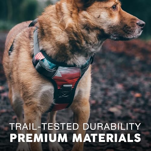 Embark No Pull Dog Harness (L / Santa Monica)