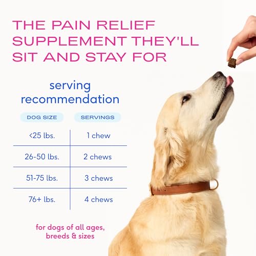 Inflammatory Care (60 Count)