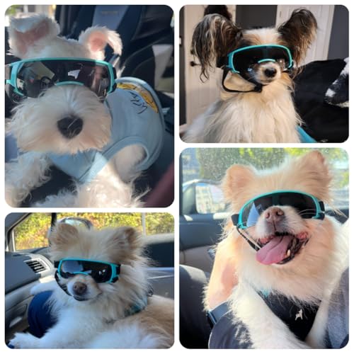 Dog Goggles for Small Dog Doggy Goggles with Adjustable Straps Anti (Blue / Small)