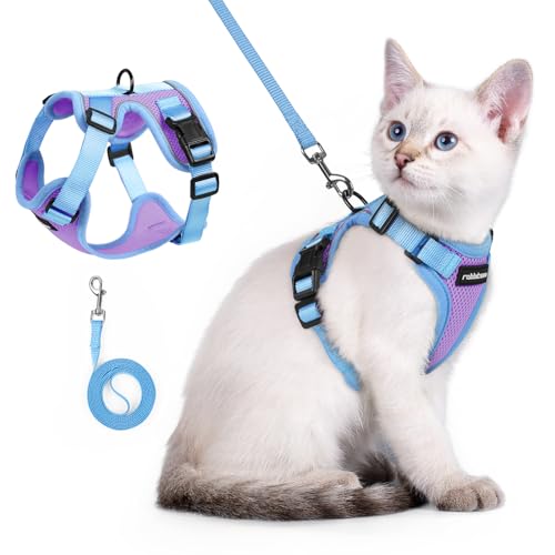 Cat Harness and Leash Set (Purple & Blue / Xxs)