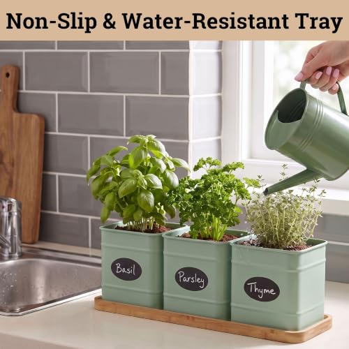 Herb Planter Indoor (Sage Green)