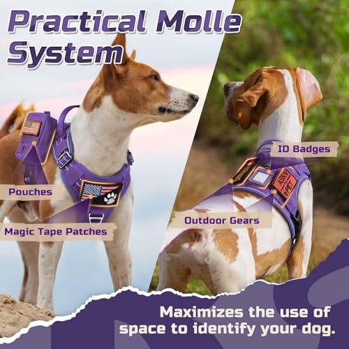 Tactical Dog Harness for Large (Purple / Large)