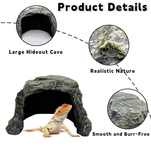 Reptile Hideout