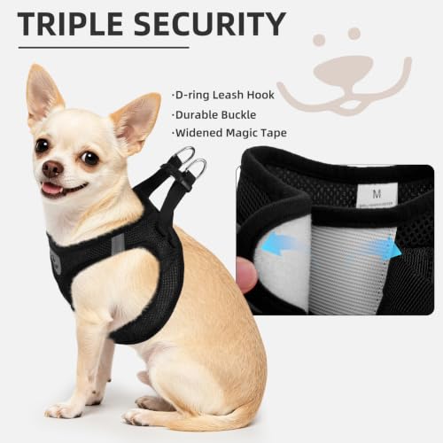 Dog Harness Collar and Leash Set No Pull for Small Medium Sized (Solid Black / S (CHEST 14.5"-16"))