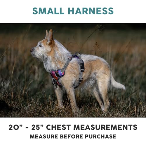 Embark No Pull Dog Harness (S / Aurora)