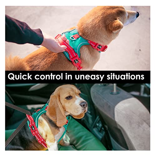No Pull Dog Harness (Dark Green Base & Red Straps / Medium)