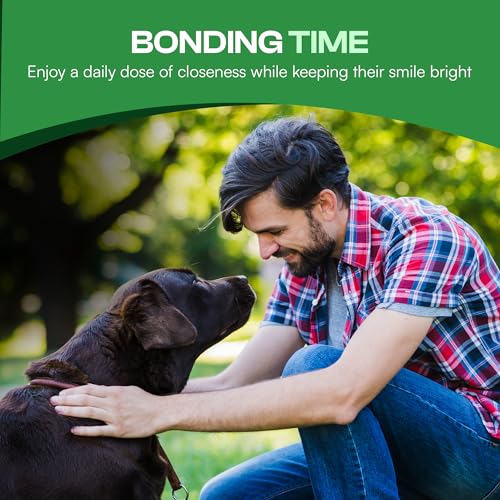 Dog Teeth Cleaning Wipes