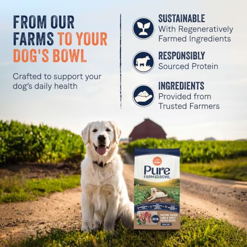 Pure Farm to Bowl (22 Pound (Pack of 1))