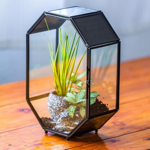 Glass Enclosure Terrarium with Mesh and Door for Spiders (6.2 x 3.1 x 8.7 inches)